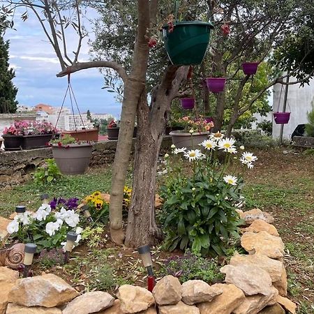 Apartments Radulovic Ulcinj Exterior photo