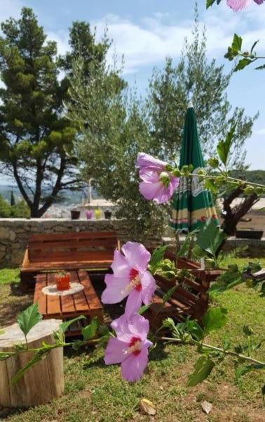 Apartments Radulovic Ulcinj Exterior photo